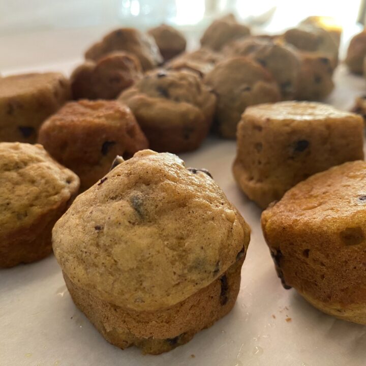 pumpkin muffin bites
